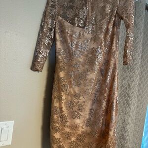 Slate & Willow Floral Lace Long Sleeve Dress in Blush and Silver